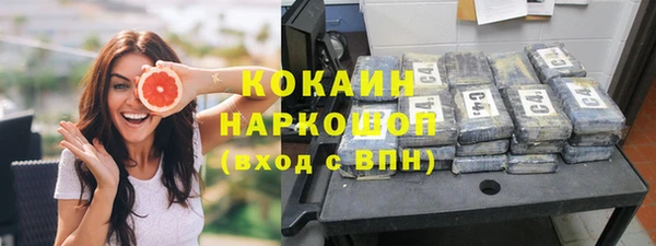 стаф Белокуриха