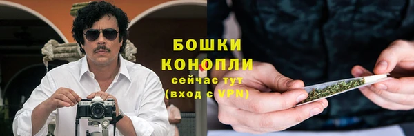 стаф Белокуриха