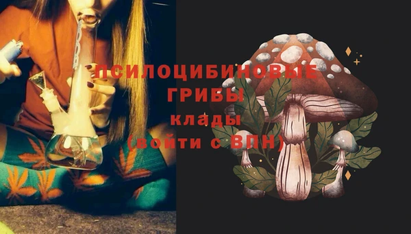 стаф Белокуриха