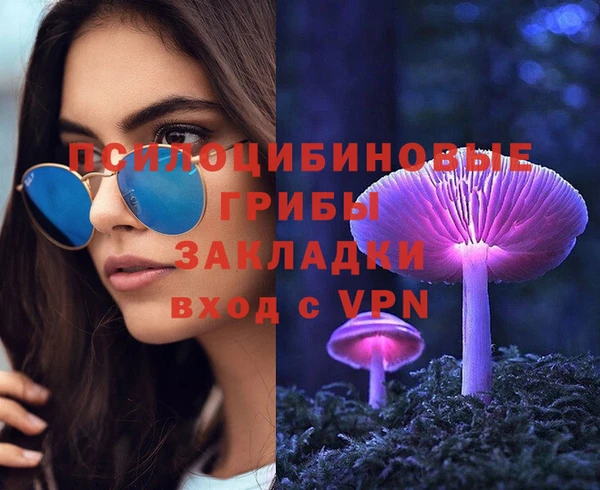 мдпв Беломорск