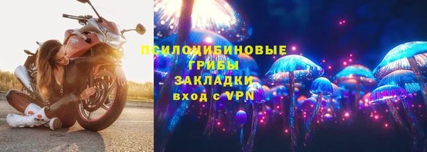 стаф Белокуриха