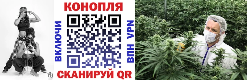 Канабис Amnesia кракен маркетплейс Вязники